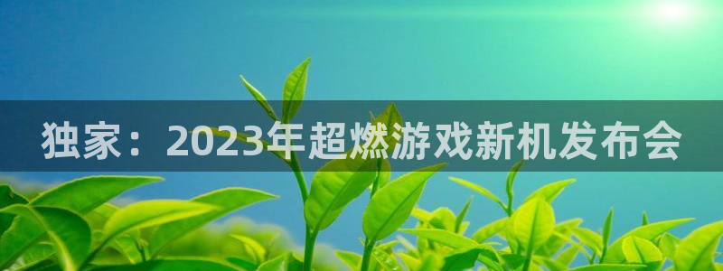 蓝冠娱乐游戏：独家：2023年超燃游戏新机发布会