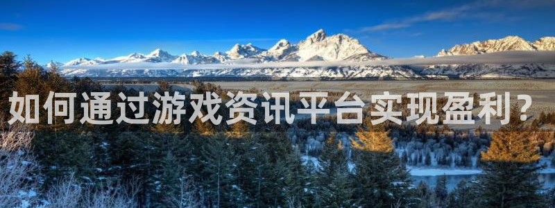 蓝冠娱乐2登录：如何通过游戏资讯平台实现盈利？