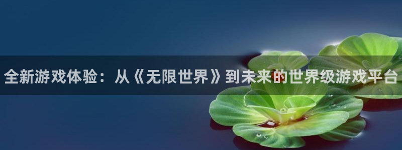 蓝冠娱乐开户测速：全新游戏体验：从《无限世界》到未来的世界级