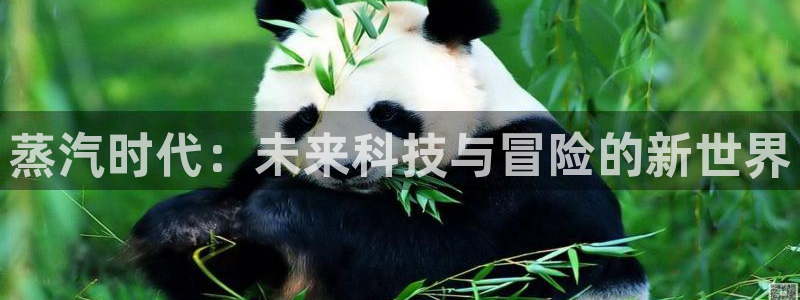 蓝冠娱乐2首页登录：蒸汽时代：未来科技与冒险的新世界