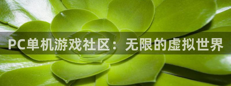 蓝冠娱乐在线登录：PC单机游戏社区：无限的虚拟世界