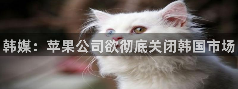 蓝冠娱乐平台登录：韩媒：苹果公司欲彻底关闭韩国市场