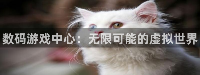 蓝冠娱乐注册官方登录app：数码游戏中心：无限可能的虚拟世界