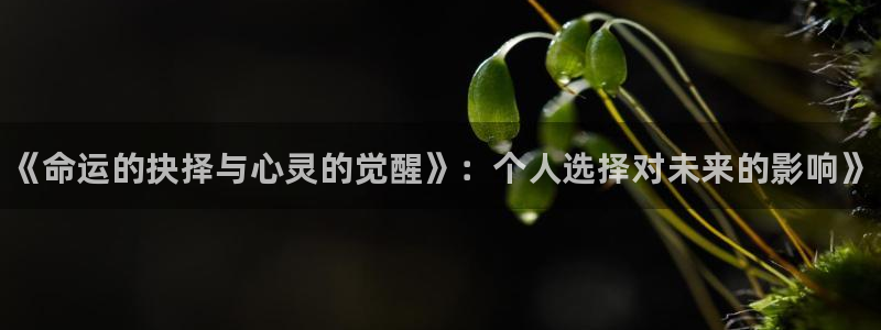 蓝冠娱乐线路测试：《命运的抉择与心灵的觉醒》：个人选择对未来