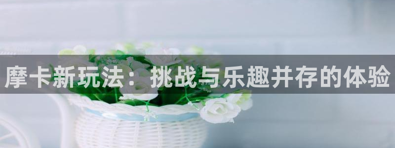 蓝冠娱乐直属：摩卡新玩法：挑战与乐趣并存的体验