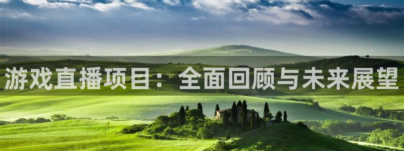 蓝冠电子科技有限公司招聘：游戏直播项目：全面回顾与未来展望