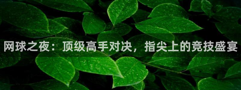 蓝冠娱乐平台：网球之夜：顶级高手对决，指尖上的竞技盛宴