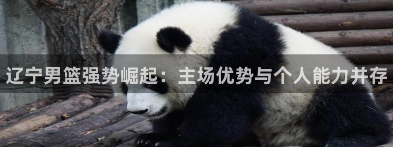 88看球直播体育：辽宁男篮强势崛起：主场优势与个人能力并存
