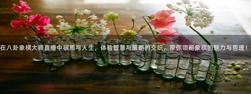 nba直播在线观看88看球：在八卦象棋大师直播中棋局与人生，体验智慧与策略的交织，带你领略象棋的魅力与哲理！